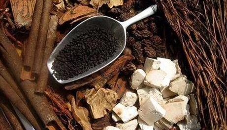 我們應該如何正確服用蒙藥？